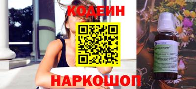 индика Камень-на-Оби