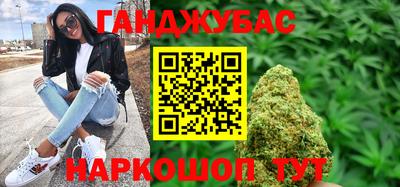 индика Камень-на-Оби