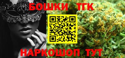 индика Камень-на-Оби