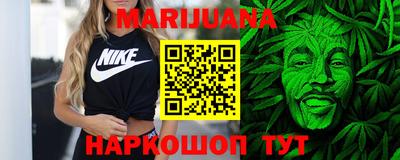 индика Камень-на-Оби