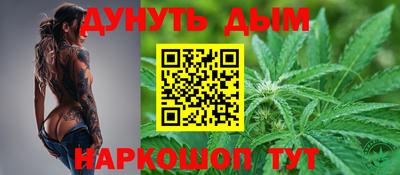 индика Камень-на-Оби