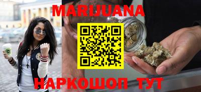 индика Камень-на-Оби
