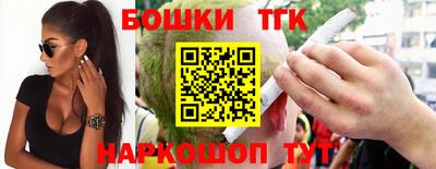индика Камень-на-Оби