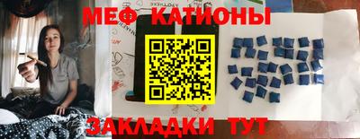 индика Камень-на-Оби