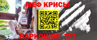 индика Камень-на-Оби