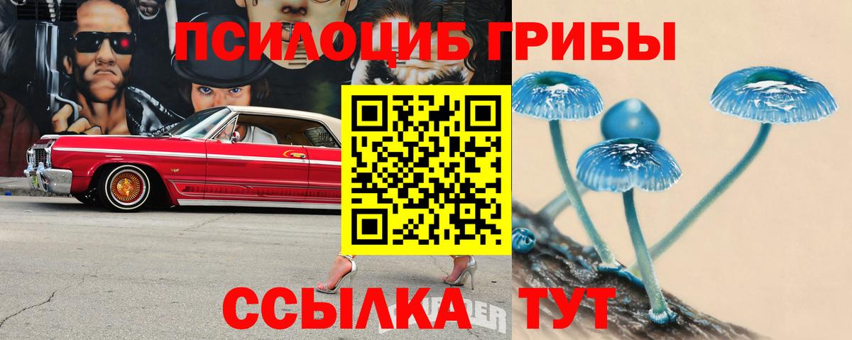 Бийск  Галлюциногенные грибы Psilocybe  Вход с VPN 