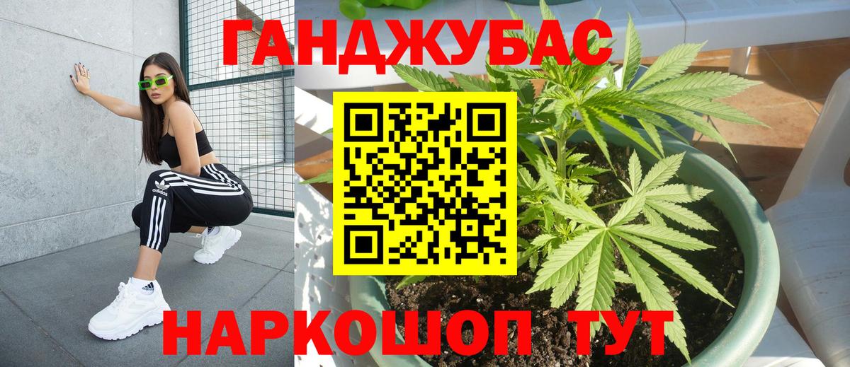 Бошки Шишки семена Бийск